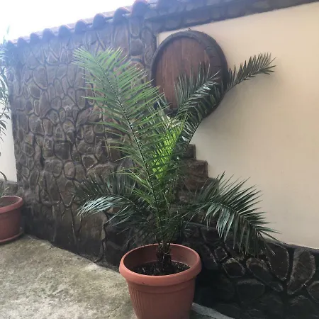 Family Ivanovi Πανσιόν Banya (Plovdiv)