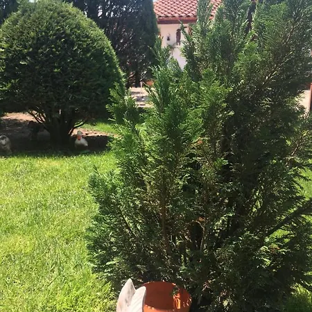Πανσιόν Family Ivanovi