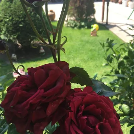 Πανσιόν Family Ivanovi Banya (Plovdiv)